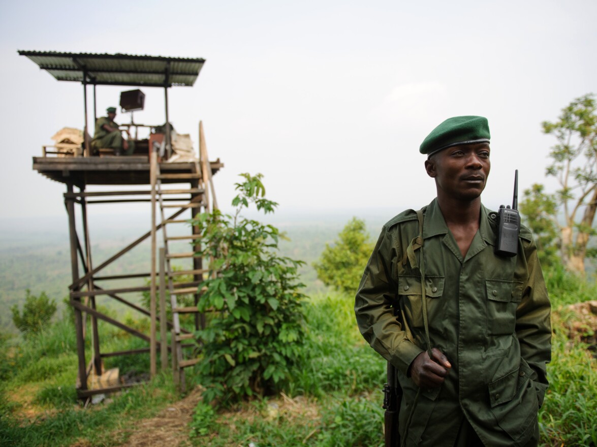 A Virunga National Park ranger stands at an observation post at the edge of the park in eastern Democratic Republic of Congo on July 17. M23 rebels now occupy Rumangabo and several other locations within Africa's oldest national park, which is also affected by other armed groups.